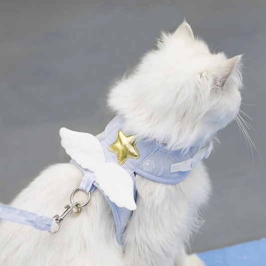 Angel cat and dog universal leash, bow leash, small dog, cat leash,Shoulder type天使猫狗通用牵引绳，蝴蝶结牵引绳，小型犬，猫绳